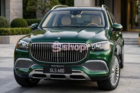 Mercedes Benz car