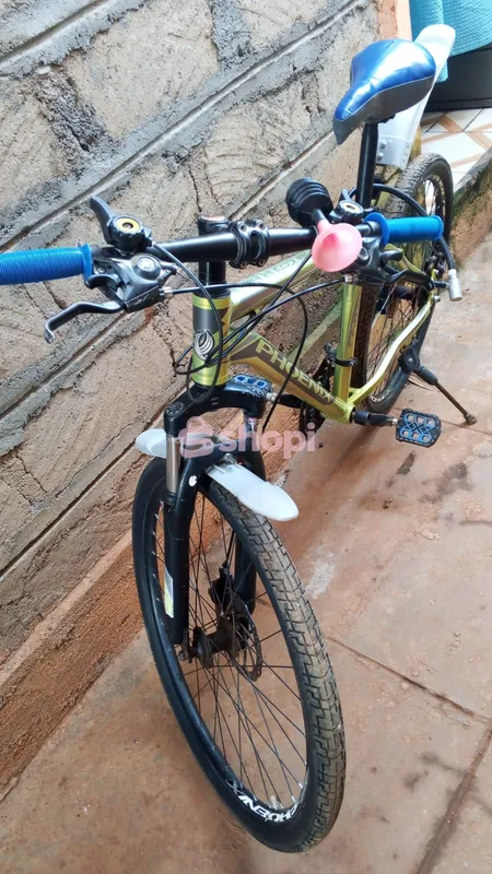Mountain bike