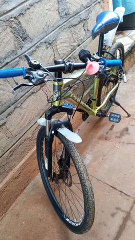 Mountain bike
