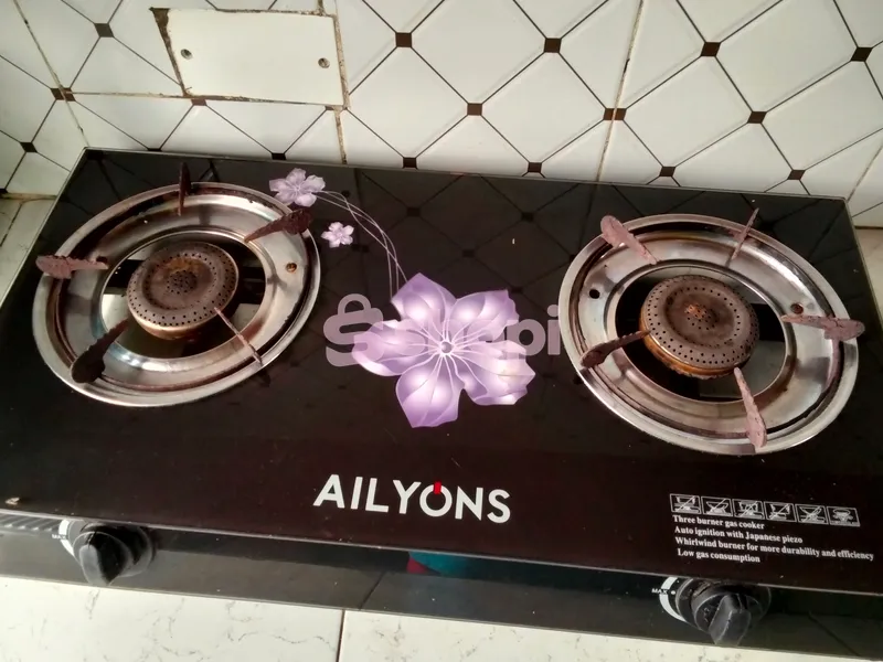Ailyons Double Burner Glass Top Gas Cooker