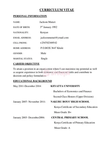 Professional CV Writing and Review Service