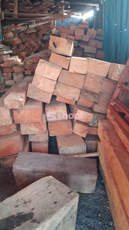 Mangowood hardwood timber