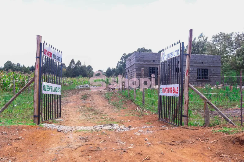 QUEENSLAND ESTATE NYAHURURU BUSARA PLOTS FOR SALE