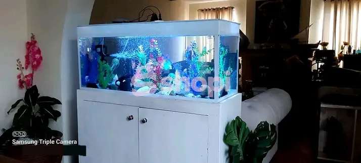 4ft White Desktop Aquarium