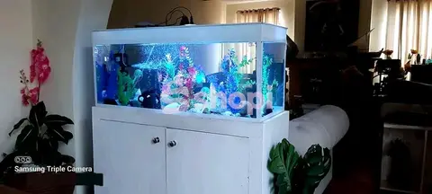 4ft White Desktop Aquarium